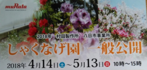 【4/14～5/13】滋賀県の県花！ しゃくなげ園の一般公開に行ってきた！【東近江】