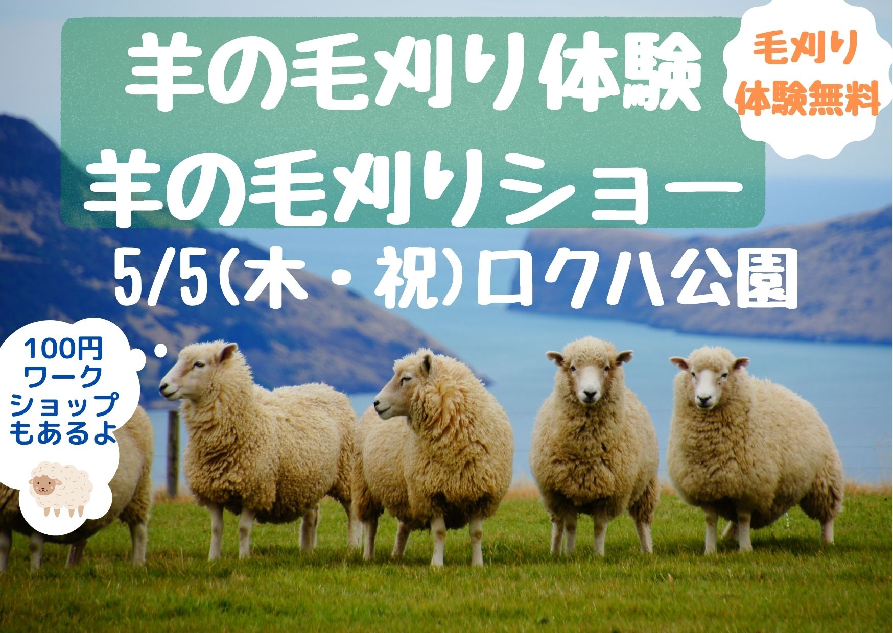 【5/5(祝)】無料で貴重な体験★羊の毛刈り体験＆毛刈りショー【ロクハ公園】100円羊毛ワークショップも♪