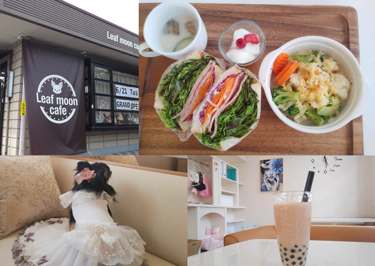【新店】Leaf moon cafe -リーフムーンカフェ-★ ワンちゃん同伴OKのカフェが、湖南市にオープン♪