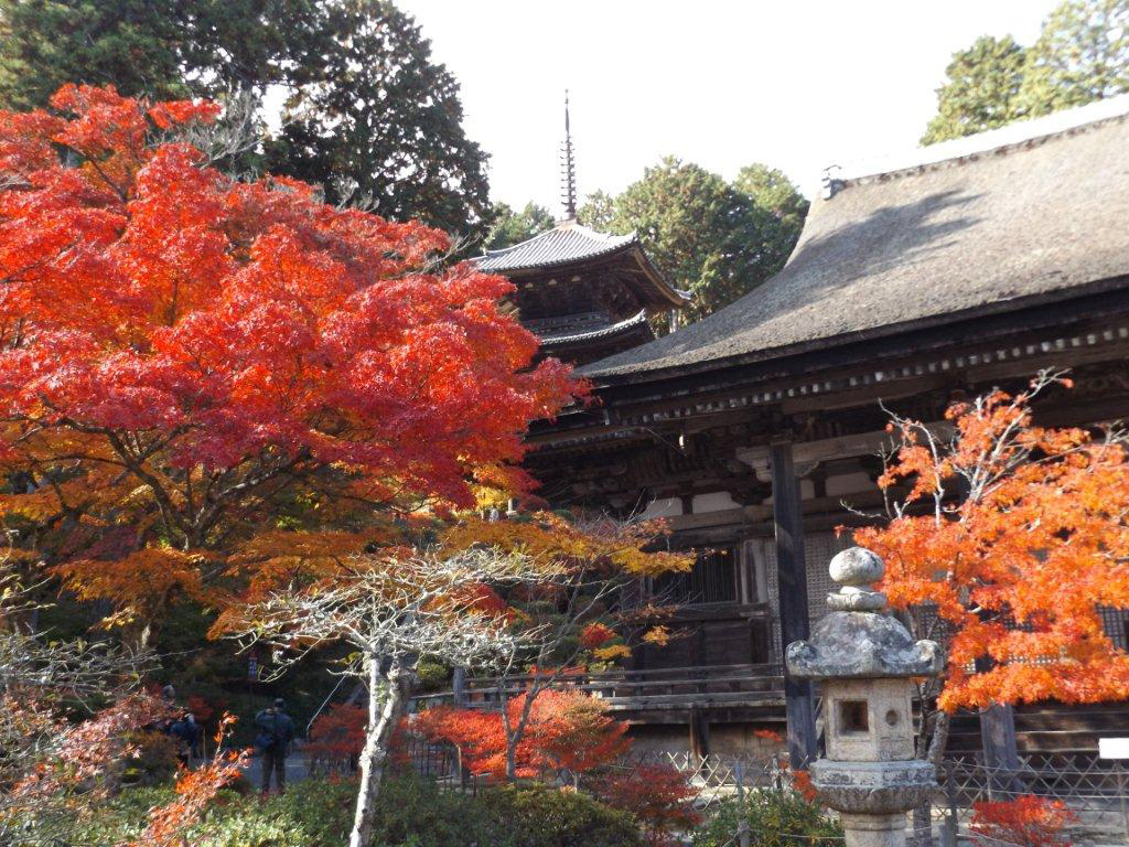 三つのお寺で国宝と紅葉を楽しむ、「湖南三山めぐり」