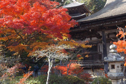 三つのお寺で国宝と紅葉を楽しむ、「湖南三山めぐり」2016