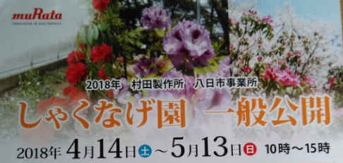 滋賀県の県花！ しゃくなげ園の一般公開に行ってきた！【東近江】
