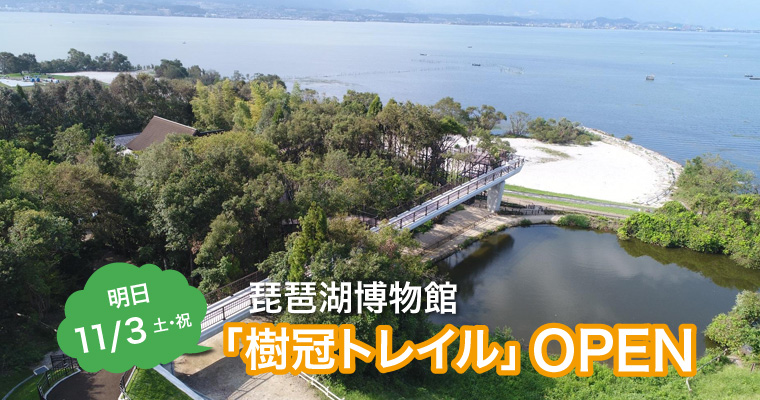 【11/3】琵琶湖博物館「樹冠トレイル」オープン！ 森とびわ湖を上から眺められる新シンボル
