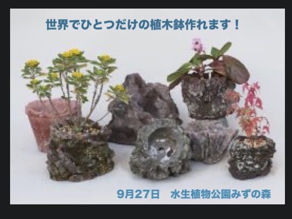 【9/27(日)】新聞紙とセメントで植木鉢を作ろう　水生植物公園みずの森（草津）