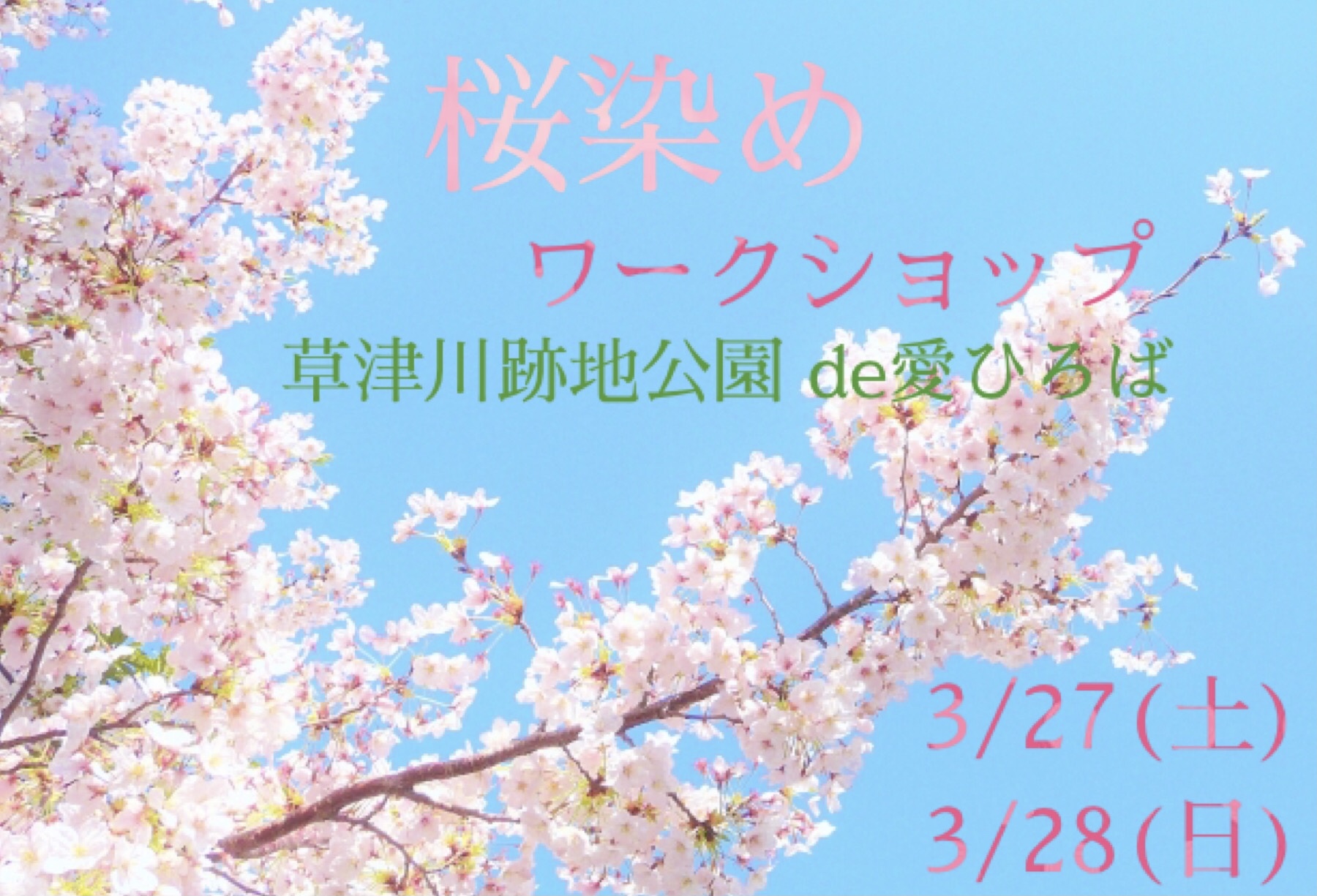 【3/27・28】桜染めワークショップ【草津川跡地公園】「桜の葉」を使って染め物体験♪