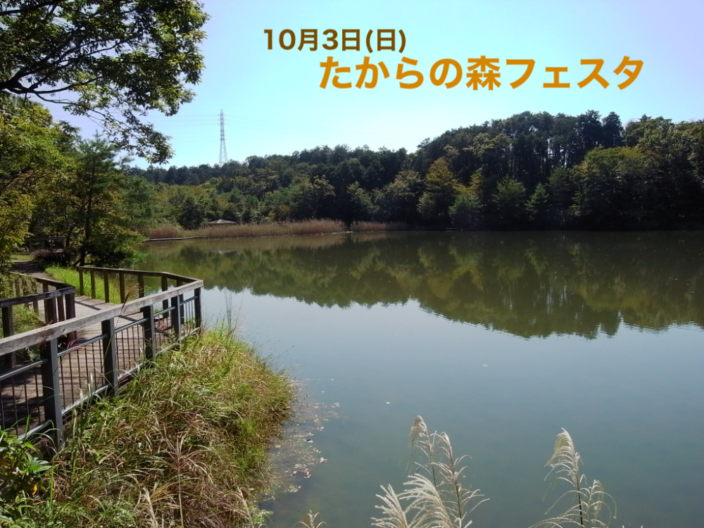 【10/3(日)】たからの森フェスタに行ってきました！　in瀬田公園