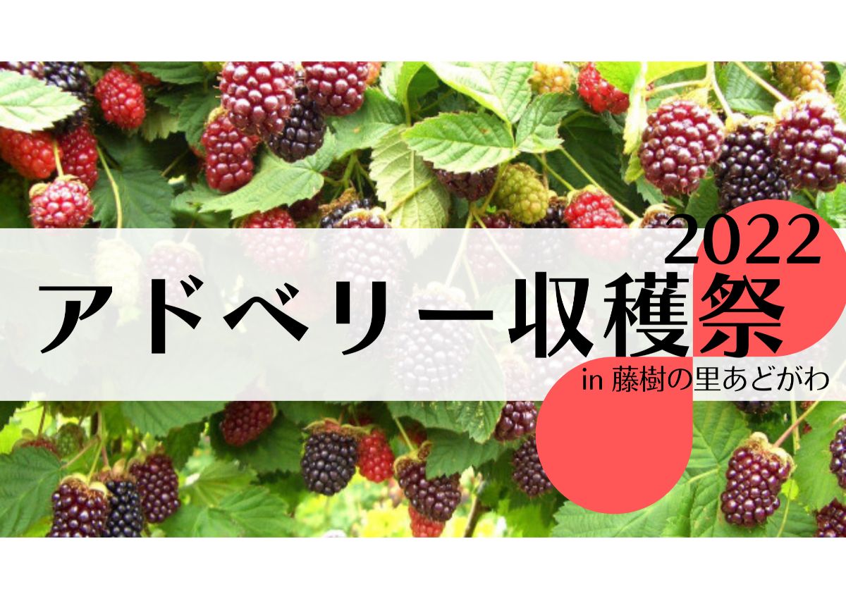 さわやかな甘さ★幻の果実を満喫！「アドベリー収穫祭」に行こう！【高島】