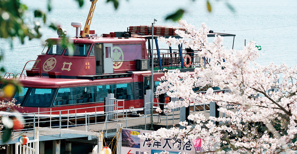 咲き誇る桜を船から満喫。圧倒的な美しさを間近で！予約受付中！［彦根港発］海津大崎桜花見船【彦根】