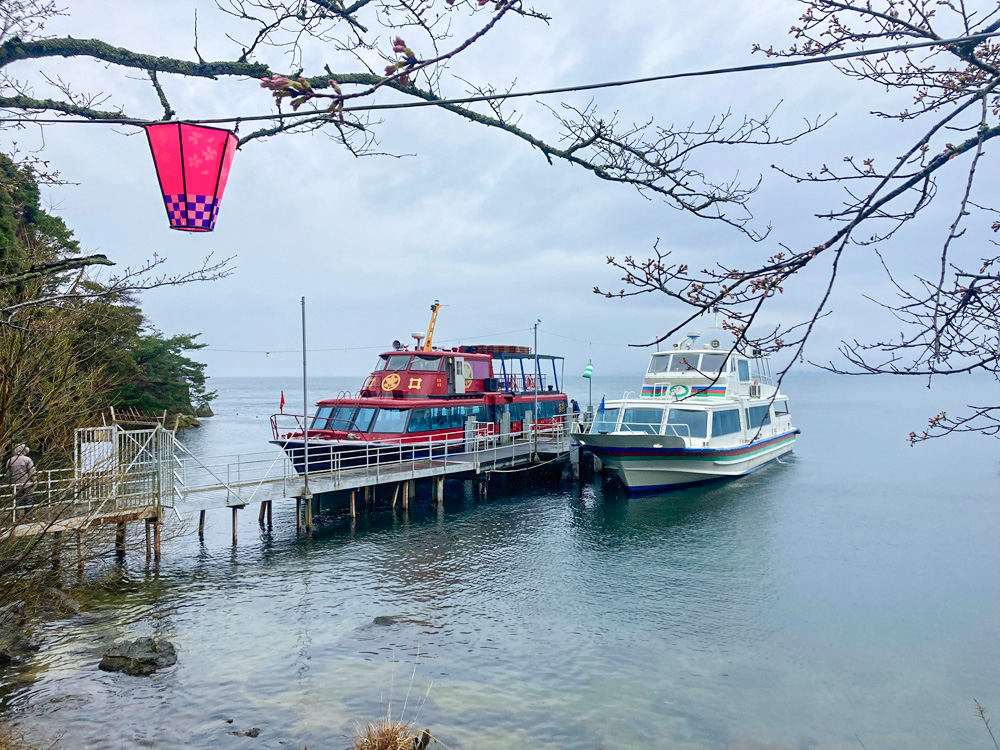 日本のさくら名所100選「海津大崎の桜」を、びわ湖から眺める贅沢な春のお花見クルーズ！…雨だったけど楽…