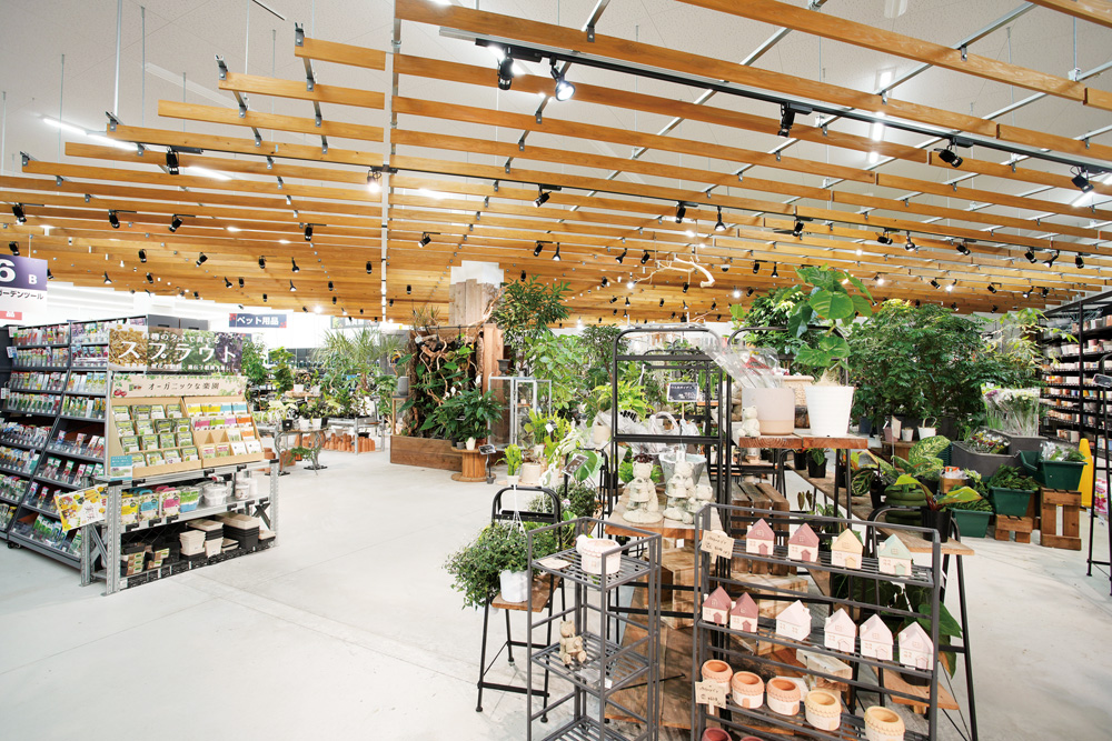 出張！アヤハディオ調査隊！植物いっぱいの「アヤハディオ守山店で実地調査！」の巻