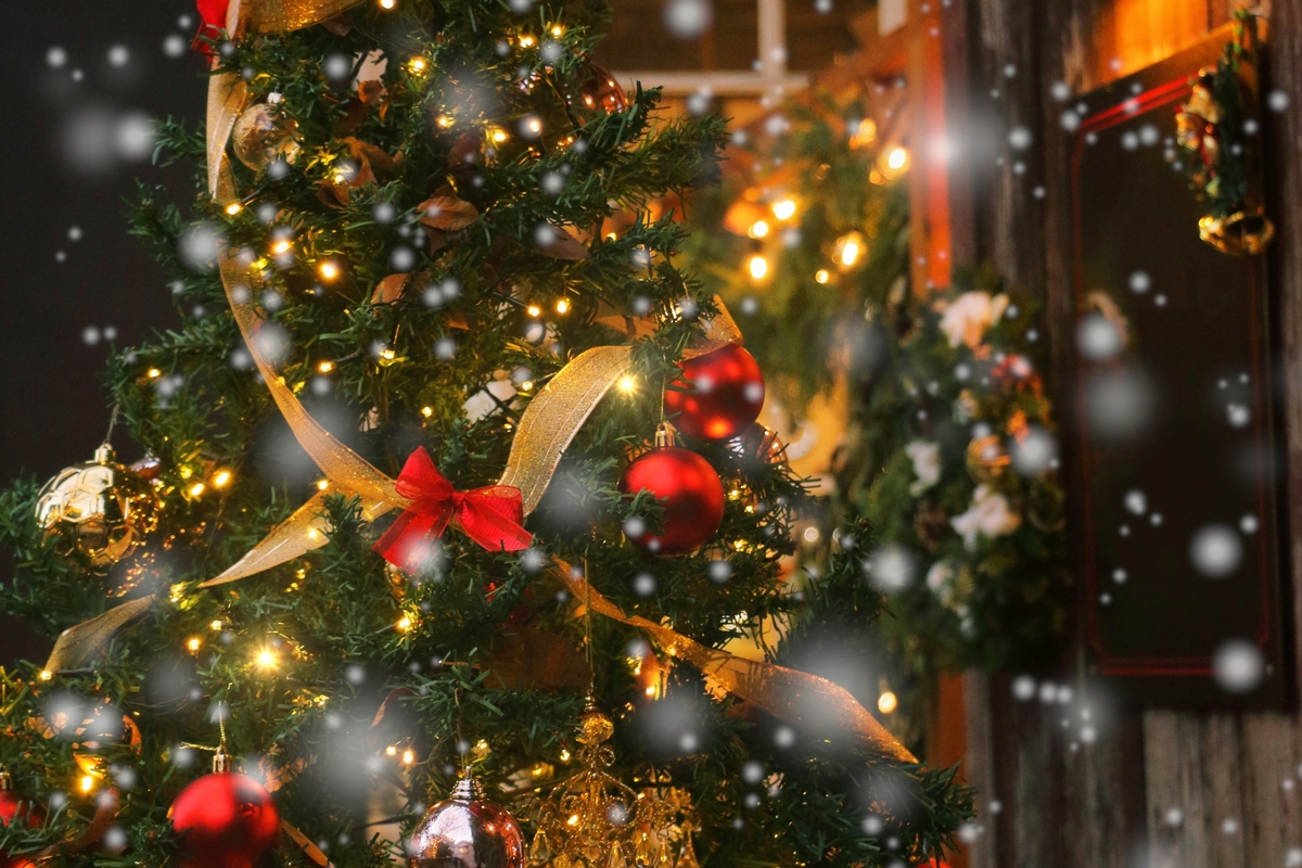 保護中: 灯りで交わる人と人。あたたかな地域のつながりを感じる「クリスマスマーケット2025」が開催【近江八幡】