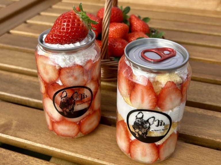 【野洲】いちご狩り＆ドッグランの複合施設『Strawberry Minori』のスイーツ作り付きいちご狩りが楽しすぎた！【新店】