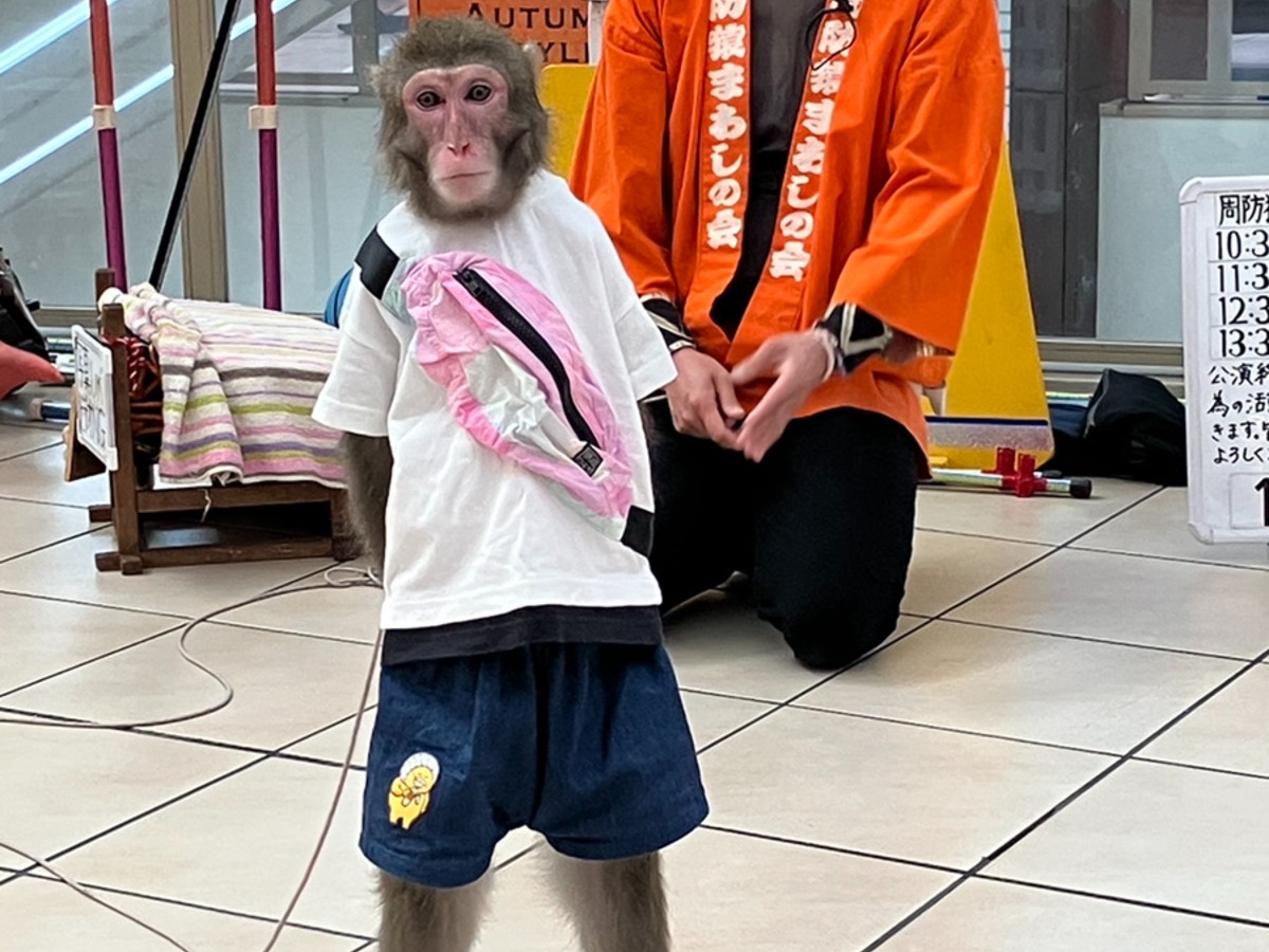 3/20(金)～23(月)「周防猿まわしの会」猿まわし劇場inフォレオ大津一里山で春休みの連休を楽しもう！